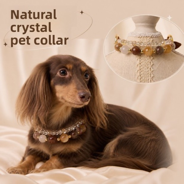 Pet Collar